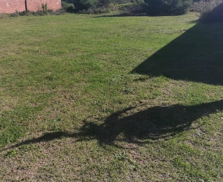 0 Bedroom Property for Sale in Wavecrest Eastern Cape